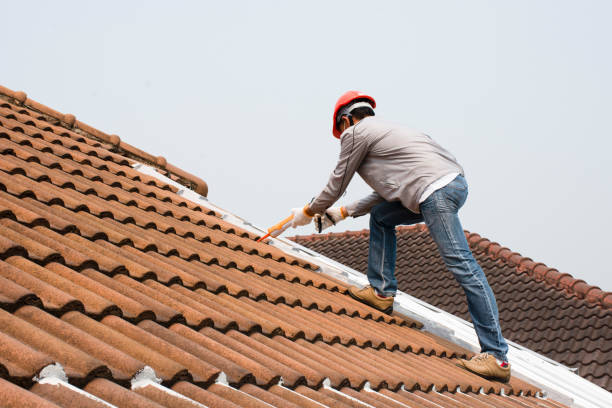 Best Wood Shake Roofing  in Resaca, GA