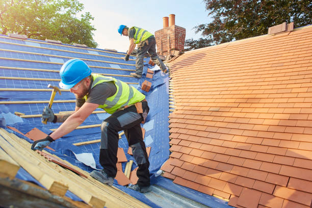 Best Roof Ventilation Installation  in Resaca, GA